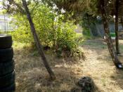 محیط باشگاه پینت بال مقاومت انزلی محیط باشگاه پینت بال مقاومت انزلی