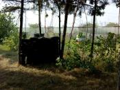 محیط باشگاه پینت بال مقاومت انزلی محیط باشگاه پینت بال مقاومت انزلی